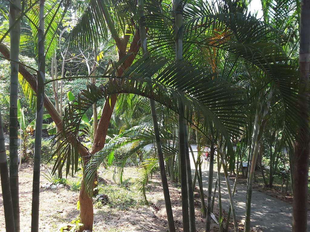 Wilai Villa Lamai Maret Exteriör bild