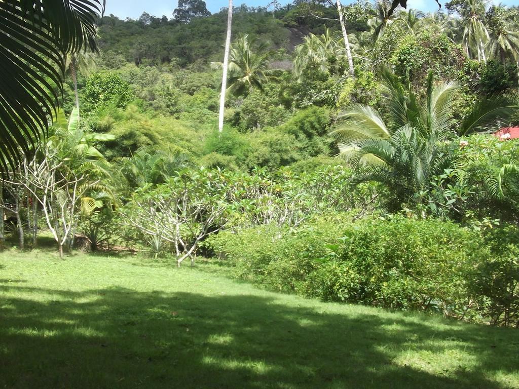 Wilai Villa Lamai Maret Rum bild