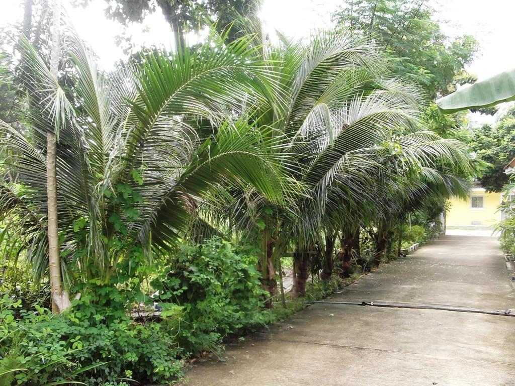 Wilai Villa Lamai Maret Rum bild