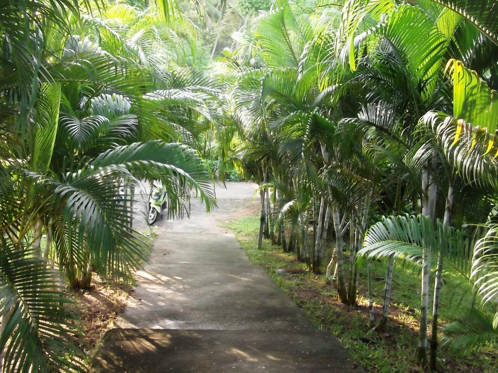 Wilai Villa Lamai Maret Exteriör bild